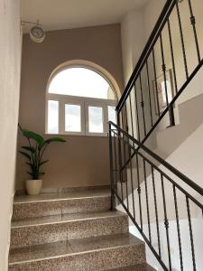 Fotografie z fotogalerie ubytování Apartment Araucaria v destinaci Crikvenica