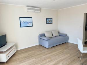 TV a/nebo společenská místnost v ubytování Apartment Araucaria