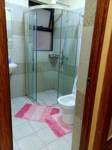 a bathroom with a glass shower and a toilet at Luxurious 2bedroom furnished apartment in Nairobi
