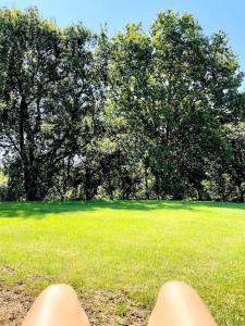Vonkajšia záhrada v ubytovaní Villa El Rodal