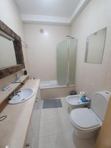 La salle de bains est pourvue de toilettes, d'un lavabo et d'une douche. dans l'établissement Figueira Family Apartment, à Figueira da Foz