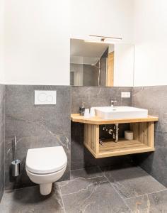 ein Badezimmer mit einem weißen WC und einem Waschbecken in der Unterkunft Taurachhof Astlehen in Plankenau
