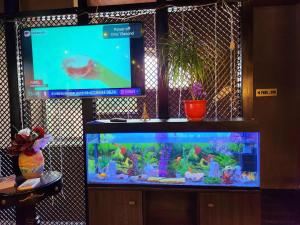 a fish tank with a tv on top of it at Shadow Hotel in Chişinău