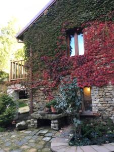 a stone building with red ivy on it at Number 10 Locanda B&B in Belvedere Langhe