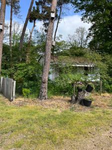 Φωτογραφία από το άλμπουμ του Ruime Chalet i/h bos met grote tuin en zwembad σε Enschede