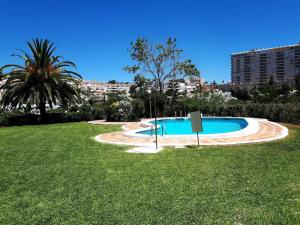 basen na polu trawy w obiekcie Coqueto piso con Billar en Benalmadena Costa w mieście Benalmádena