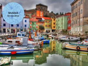 a group of boats docked in a harbor with buildings at Rezidenca Ortus in Ankaran