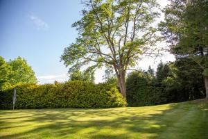 a large lawn with a tree in the middle at Sladen Lodge in Hathersage