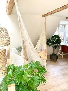 a hammock in a living room with plants at Vidunderligt hus m/egen gårdhave - midt i centrum in Aalborg