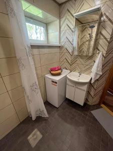 a bathroom with a sink and a toilet and a mirror at Vahtra allee külalismaja 