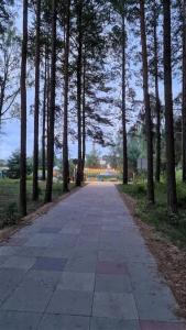 un chemin bordé d'arbres dans un parc arboré dans l'établissement EPA Brīvdienu mājiņa, à Carnikava