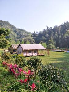 Příroda nedaleko luxury tent