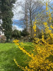 Un jardín fuera de 2 Schlafenzimmer 5 Betten