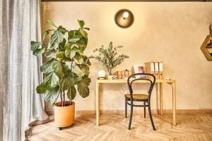 - un bureau avec une chaise et une plante dans la chambre dans l'établissement Ginger - Exclusivo Loft Urbano, à San Vicente del Raspeig