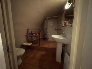 ein Bad mit einem Waschbecken und einem WC in der Unterkunft Chambres d' hôtes l'Escalo à Moutiers-Ste-Marie (04360) in Moustiers-Sainte-Marie