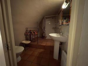 穆斯捷-圣玛丽Chambres d' hôtes l'Escalo à Moutiers-Ste-Marie (04360)的带水槽和马桶的浴室