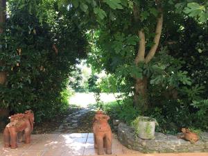 Gallery image of Charme Zen Ecrin de verdure Fraîcheur Spa en juillet in Pezens +16 photos