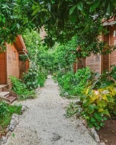a gravel path between two buildings with trees at Sheriff, Olympos in Kumluca