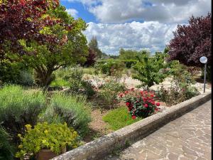 A garden outside Case vacanza e camere in Villa Isabella con parcheggio custodito e wifi