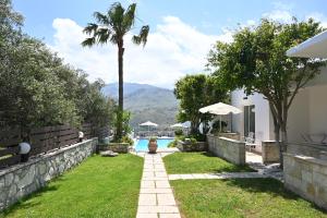 a backyard with a pool and a palm tree at Marika Studios & Apartments in Georgioupolis