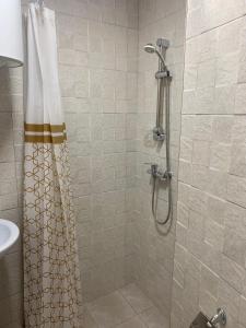 a shower with a shower curtain in a bathroom at Shara Talyan 8/2 Guest House in Yerevan
