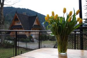 Widok na góry z tego apartamentu