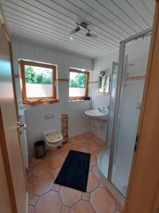a bathroom with a shower and a toilet and a sink at Casa Kühn in Hackenheim
