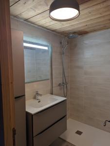 a bathroom with a sink and a shower at Bas de chalet au coeur des Aravis, entre lac et montagne in Saint-Jean-de-Sixt