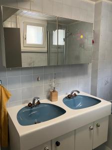uma casa de banho com um lavatório azul e um espelho. em La Lanterne em Sierre