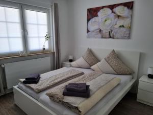 1 dormitorio con 1 cama con 2 almohadas en Ferienhaus am Park, en Klingenmünster