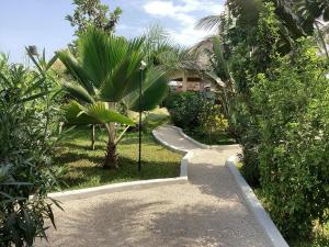 une passerelle traversant un jardin avec un palmier dans l'établissement PACOTOUTY LODGE, à Cap Skirring