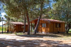 uma cabana de madeira na floresta com árvores em Las Casitas del Pinar em Bayubas de Abajo