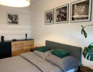 1 dormitorio con 1 cama y algunas fotos en la pared en Apartament Luna en Biała Podlaska