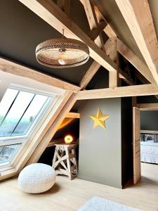 Cette chambre est dotée d'un plafond voûté avec une étoile sur le mur. dans l'établissement Par Hasard ou pas, à Saint-Martin-aux-Chartrains
