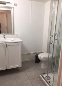 a white bathroom with a toilet and a sink at Maison de ville, centre de Provins in Provins