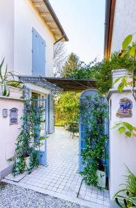 Κήπος έξω από το Villa Viola