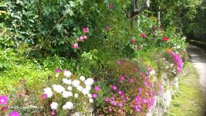un jardín con flores rosas y blancas en un camino en Quinta Da Penela, en Vieira do Minho