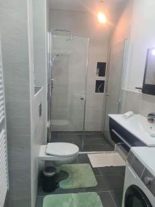 a bathroom with a shower and a toilet and a sink at Wohnung 51 in Oberwesel