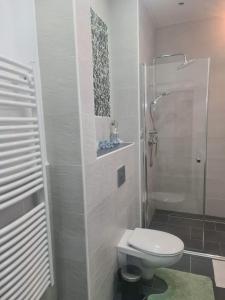 a bathroom with a shower and a toilet and a shower at Wohnung 51 in Oberwesel
