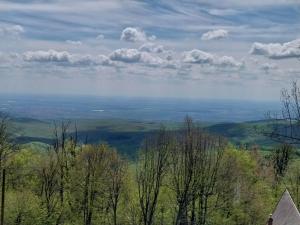 Příroda nedaleko apartmánu