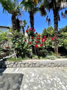 un jardín con rosas rojas y palmeras en Apartments Miro en Ičići
