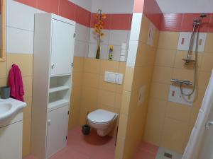 a bathroom with a toilet and a sink at Ekofarma Šťástkovi in Jindřichŭv Hradec