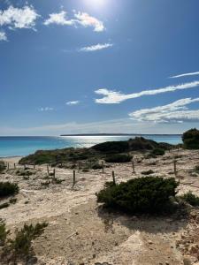 einen Sandstrand mit dem Ozean im Hintergrund in der Unterkunft Arenas del Mar Formentera in Es Arenals