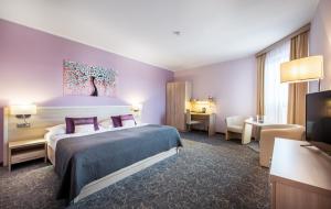 um quarto de hotel com uma cama e uma televisão em Hotel Mlynska em Uherské Hradiště