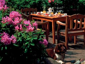 a dog sitting in front of a table with flowers at Glaeßer Appartements in Burg auf Fehmarn