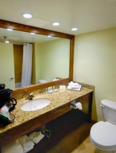a bathroom with a sink and a toilet and a mirror at Holiday Inn - Fort Myers - Downtown Area, an IHG Hotel in Fort Myers