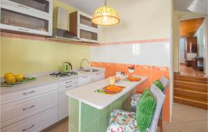 een keuken met een eiland in het midden bij Pet Friendly Home In Ravni With House Sea View in Ravni