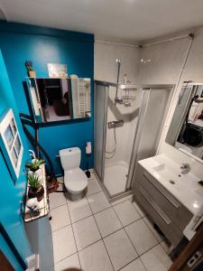 ein Bad mit einem WC, einer Dusche und einem Waschbecken in der Unterkunft Gîte du Moulin de Tart le Bas 