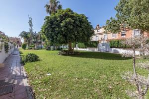 un arbre dans la cour d'une maison dans l'établissement BHost - Wilkinson, à Malaga