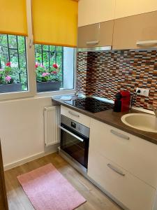 a kitchen with a stove and a sink and two windows at Studio Dristor - foarte curat si frumos in Bucharest